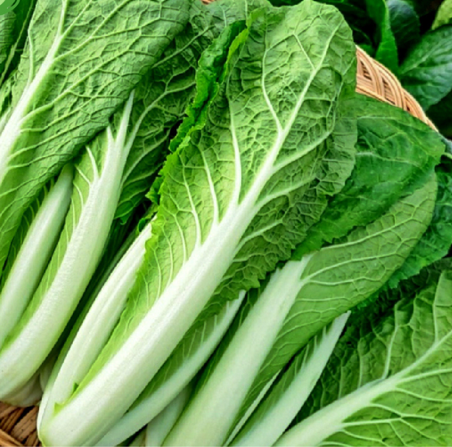 대아프레시 야채 아저씨네 국내산 신선 아삭 부드러운 채소 얼갈이, 1박스, 1kg