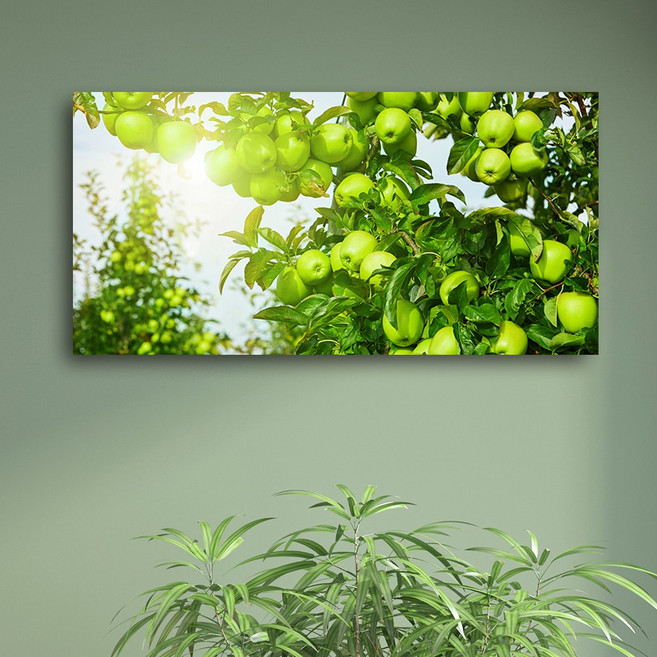 화색갤러리 인테리어 노프레임 사과 캔버스 그림 액자 집들이 개업 선물 액자