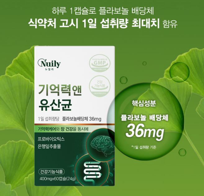 뉴일리 기억력 앤 유산균 400mg 은행잎 추출물 프로바이오틱스 폴라보놀 두뇌 장케어 기억력 혈행 개선, 2개, 60정