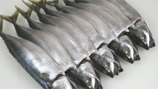 부산 자반고등어 특대사이즈 10마리 간고등어, 1개, 3.2kg~3.5kg