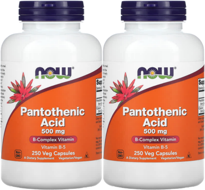 NOW 나우 대용량 프리미엄 판토텐산 500mg 250정 (2팩), 2개