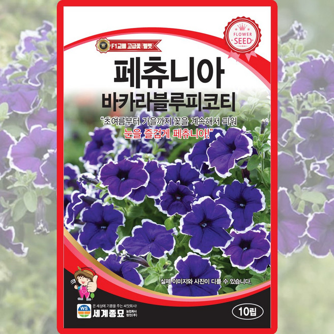 산들마켓 페츄니아 블루피코티 씨앗 10립 페츄니아 꽃씨 종자, 1개