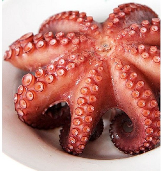 자숙문어651g~1.1kg 필리핀산 문어 숙회 샐러드 명절 제수용, 자숙문어651g~700g, 1개