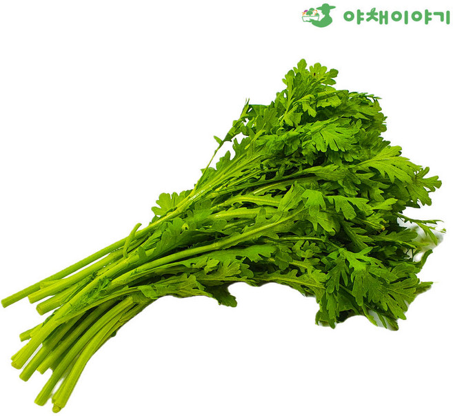 야채이야기 국내산 싱싱한 쑥갓 1kg, 1박스
