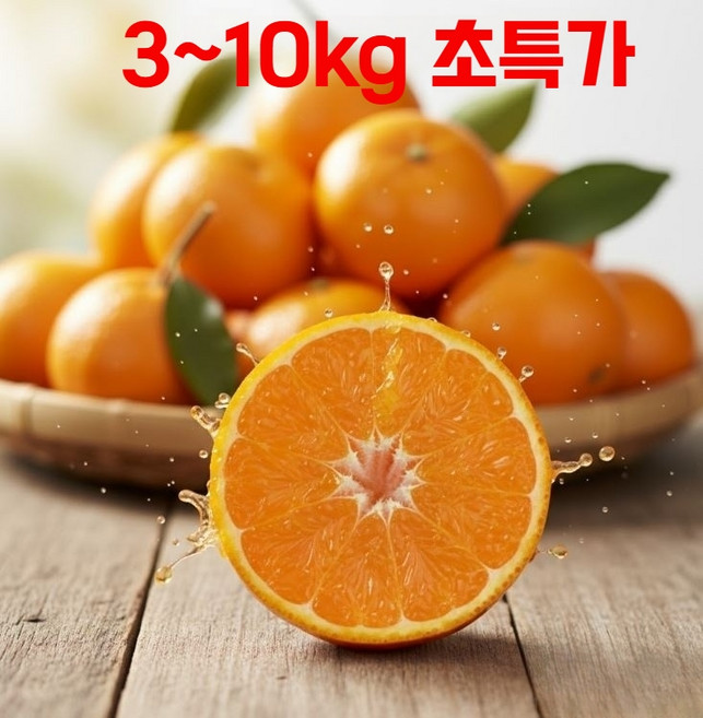 달콤새콤 제주 노지 감귤 대과 청귤, 1박스, 5kg, 카라향