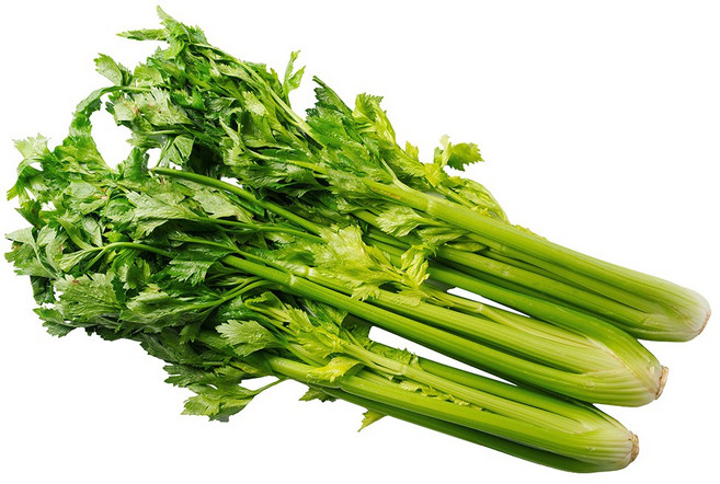 전청 프레시 국산 싱싱한 셀러리 샐러리, 1개, 2kg