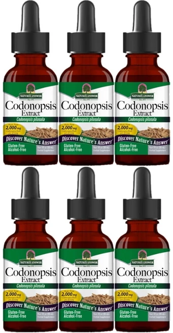 네이처스앤서 고흡수 더덕 추출물 2000mg 액상 액체, 6개, 30ml - 쿠팡