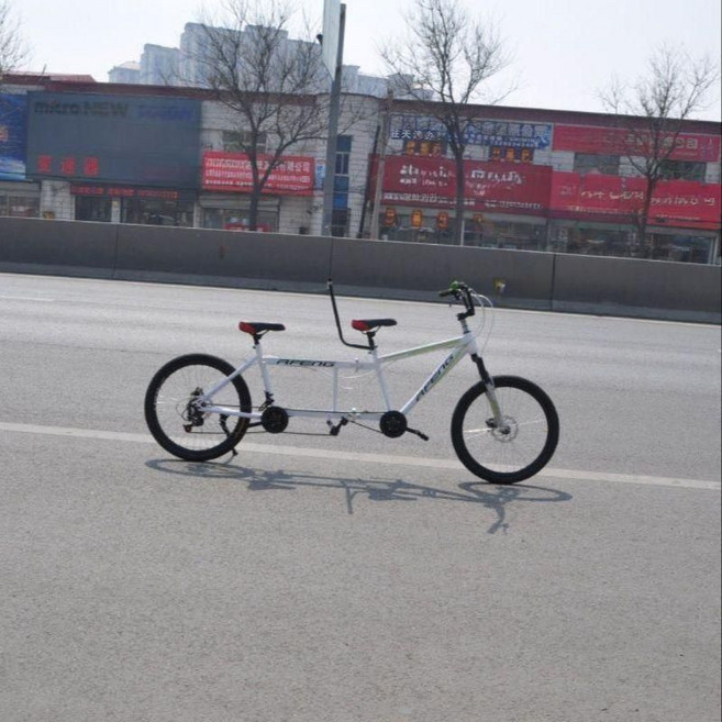 2인용자전거 접이식 2인승 커플 화이트 관광지 자전거 투어링 라이딩 공원 출퇴근 로드, B. 고탄소강 26인치 디스크 브레이크