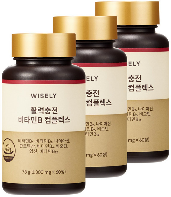 와이즐리 활력충 비타민B 컴플렉스, 3개, 60정