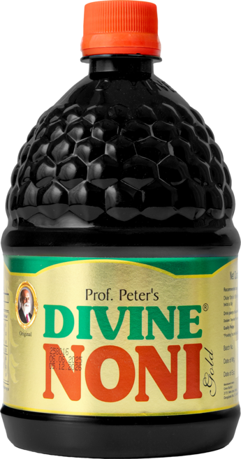 디바인 노니 주스, 2개, 800ml