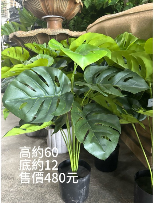 仿真龜背葉盆栽 裝飾佈置, 1個
