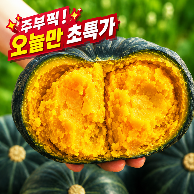 [주부픽!한정초특가] 제주직송 보우짱 미니 밤호박 단호박, 1박스, 2kg
