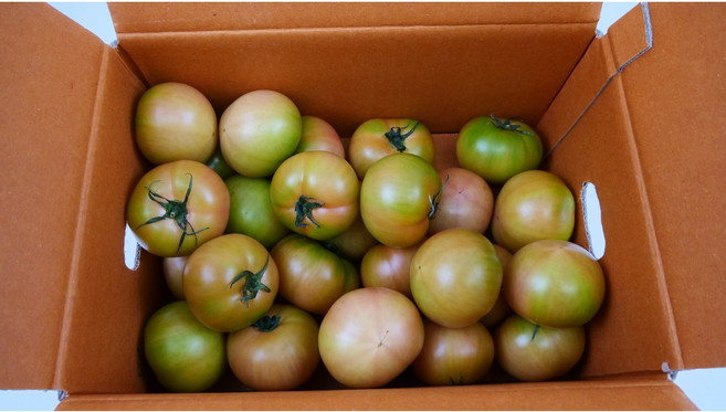 [초특가] 부산 대저토마토 짭짤이 못난이, 1박스, 못난이 5kg (2S-L)