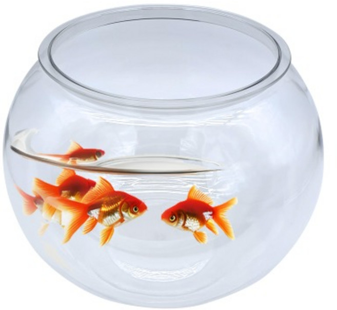 [초록끈] 아마존 투명플라스틱어항 (특대) 18.5x30x30cm YG300