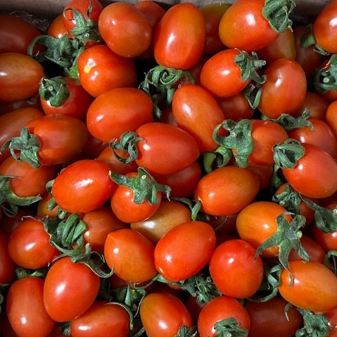 대추 방울토마토, 1박스, 대추방울토마토 5kg
