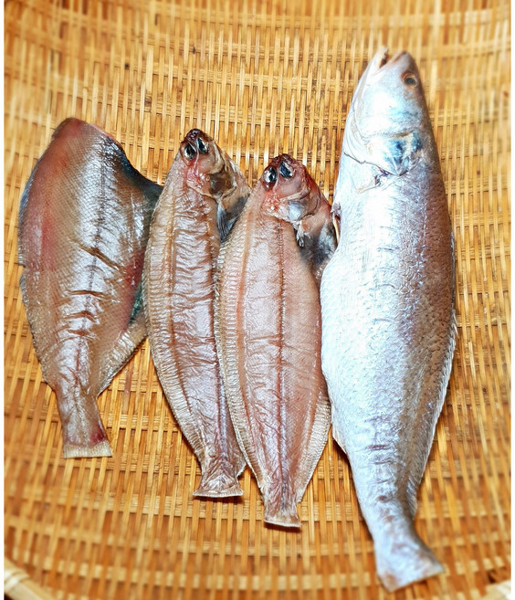 [죽도시장] 반건조 생선 기름가자미 참가자미 고등어 바다장어 홍가자미 열기 민어조기 도루묵 양미리 제수용 구이, 반건조 도루묵 500g, 1개