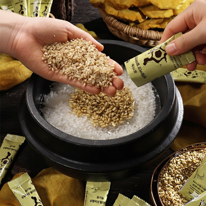 하이칸 유기농 상황버섯 발아현미쌀 친환경공법, 40개, 20g