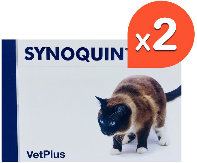 벳플러스 사이노퀸 캣 (고양이용) 관절영양제 30캡슐 (병원정품), 30정, 뼈/관절강화, 2개