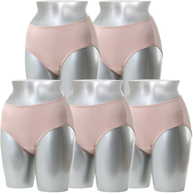 캐리루시 라이오셀 기본 팬티 5p