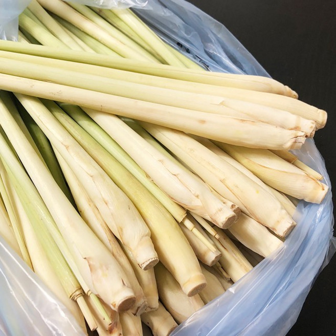 월드푸드 생 레몬그라스 LEMONGRASS SA TUOI XA, 1개