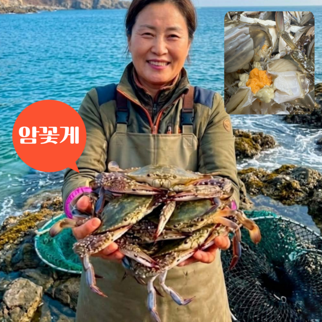 먹사부 서해안 산지직송 봄 제철 활 암꽃게 1kg (수율 70% 이상), 1개, 2000g, [프리미엄] 활꽃게