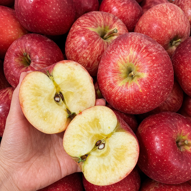 [품절임박] 거창 껍질까지 다 먹는 꿀줄줄 햇 부사 사과 5KG 대과, 1박스