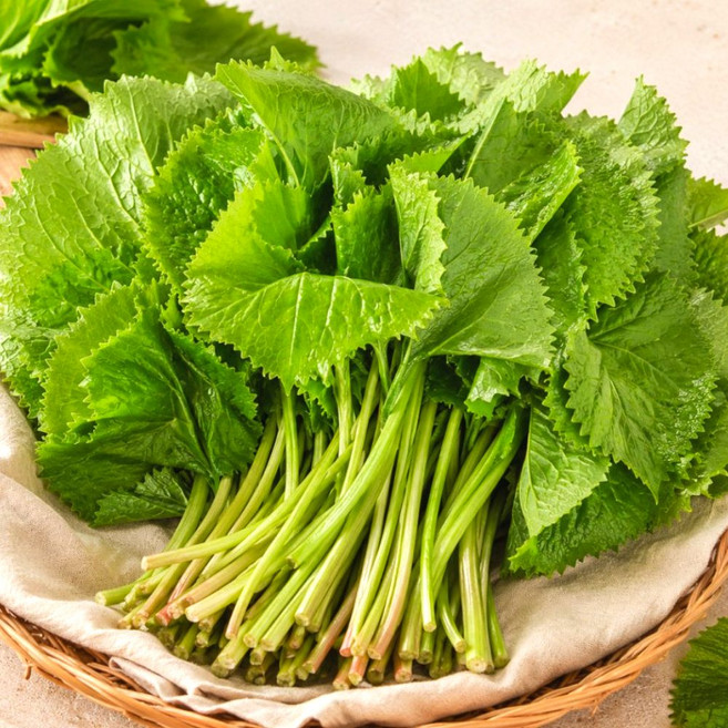 강원도 자연산 생 곰취나물 국산 봄나물 1kg, 2kg, 1세트