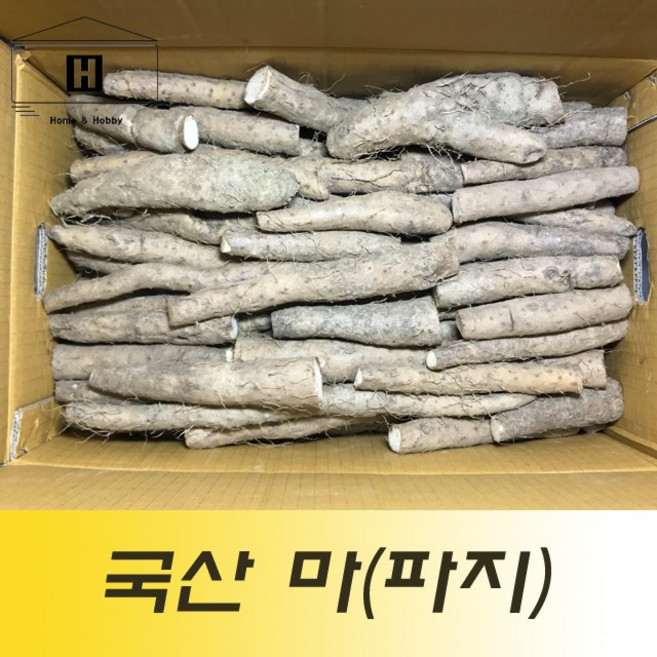 국산 장마 작마 파지마 단마 5kg 생마 알뜰마 마전 마요구르트 마우유, 1개