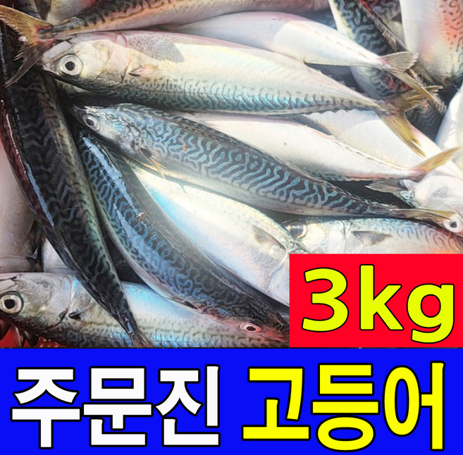 국내산 생물 비손질 고등어 3kg 생고등어 6-9마리 신선도 유지를 위해 급속냉동하여 발송, 1박스