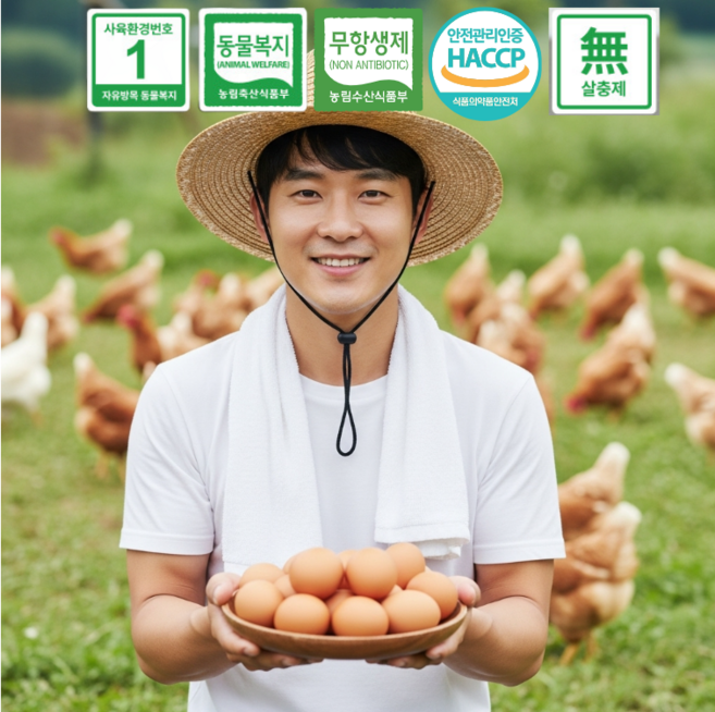 [산청마을] 무항생제 HACCP 난각1번 자연방사 유정란 계란 동물복지 방목사육, 1개, 40구