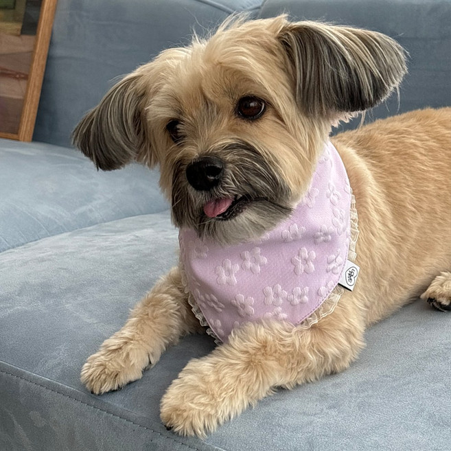 러브피피 강아지옷 여름옷 쿨티셔츠 반다나 스카프, 1개, 블라썸 베이비 반다나 라벤더