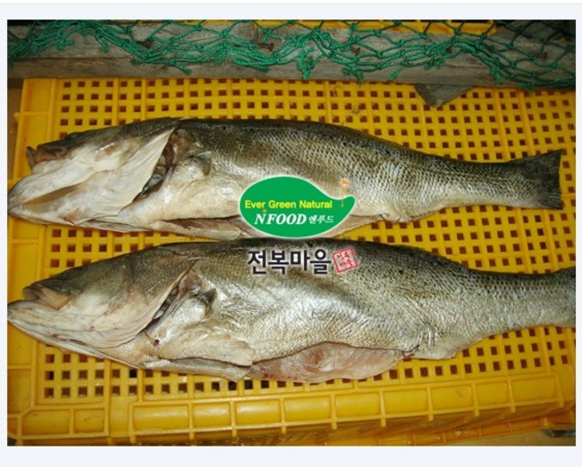 반건조농어 1kg내외 1마리 말린농어 반건조생선 매운탕 찜, 1개