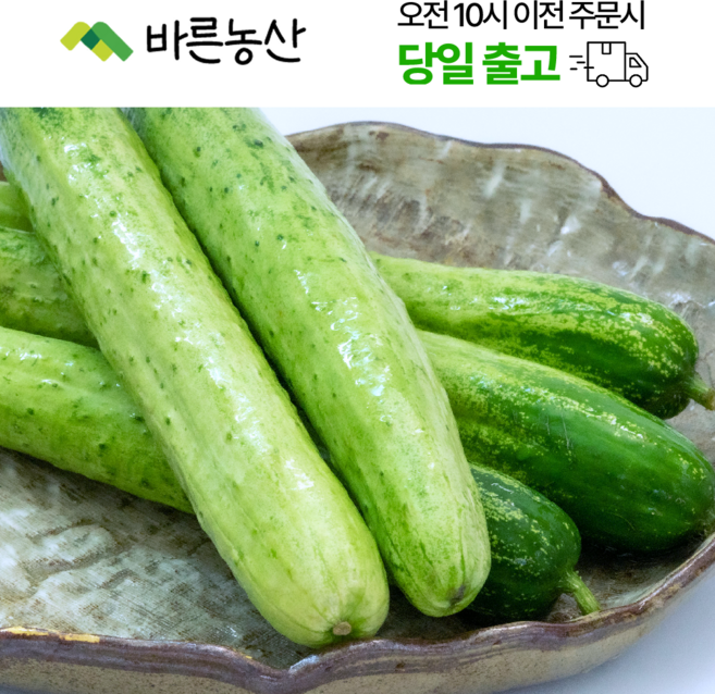 < 바른농산 > 국내산 오이 다다기오이 백오이 (상품), 5개, 200g