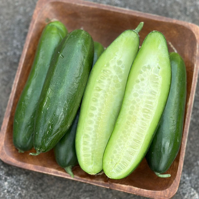 알뜰 국산 미니 오이 스낵 오이 한박스 꼬마 오이 장아찌 용 오이 오이지 오이 피클 용 오이, 1개, 1kg