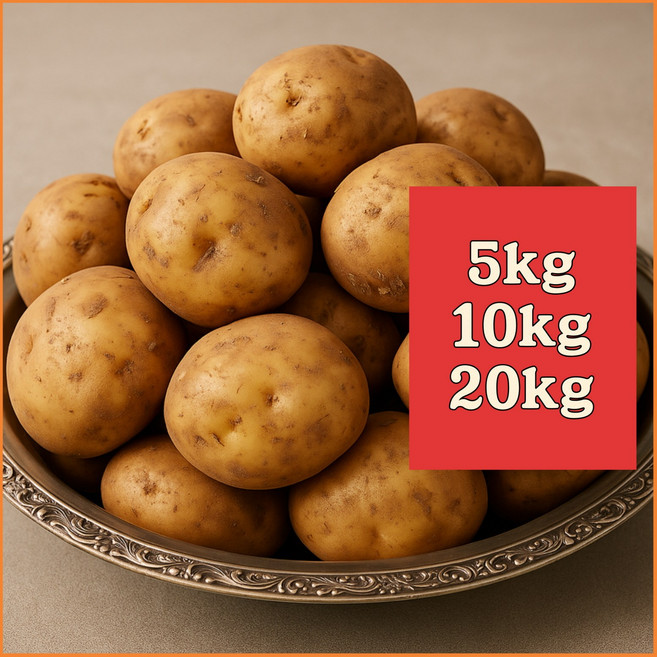 왕특 감자 산지직송 국산 2025년 햇 감자 5키로 10키로 20키로 (사이즈 140그램~200그램), 1개, 왕특 20kg