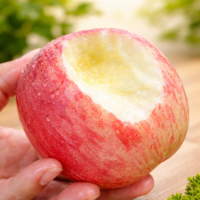 [마감임박특가] 노마진초특가 청송사과축제 꿀단맛 부사사과, 1개, 3kg