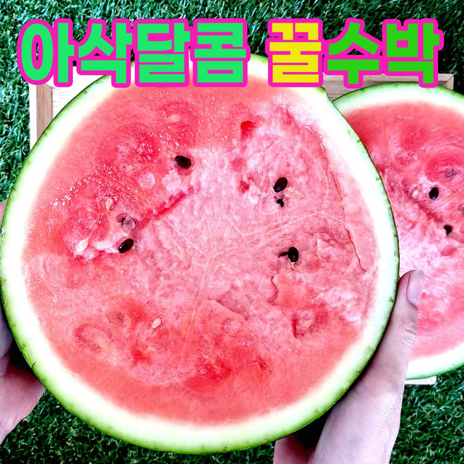 스테비아수박 게르마늄 황토 씨별로없는수박 고당도 꿀당도 부모님 임산부 흑미수박 선물 하이브릭스 스윗 하우스수박 여름제철과일, 1개