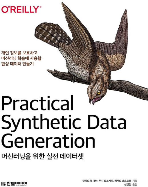 머신러닝을 위한 실전 데이터셋:개인 정보를 보호하고 머신러닝 학습에 사용할 합성 데이터 만들기, 한빛미디어, 9791162243749, 칼리드 엘 에맘,루시 모스케라,리처드 홉트로프 공...