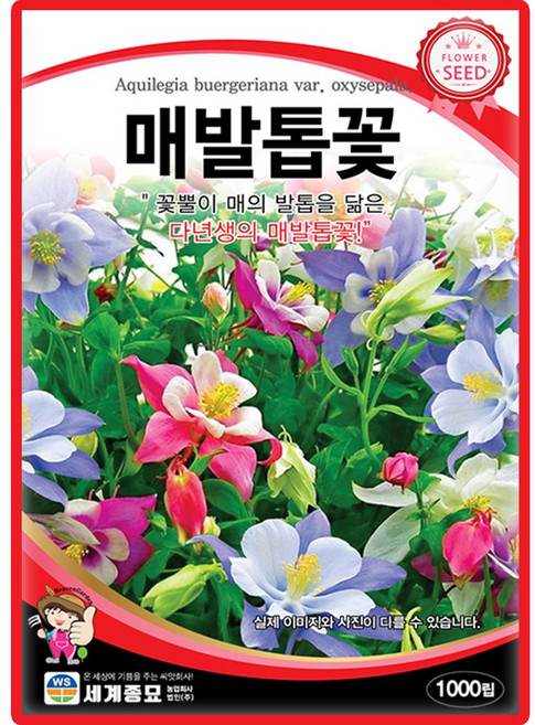 세계종묘 매발톱꽃 씨앗 1000립 매발톱꽃 꽃씨 다년생 야생화 종자, 1개
