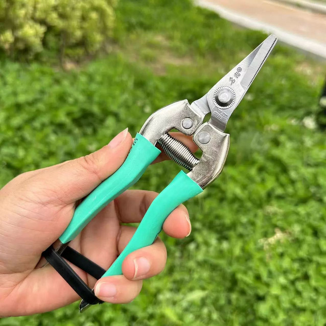 사과 적과 가위 열매 따기 가지꺽기 배나무 컷팅기, 스테인리스 다이아 헤드, 1개