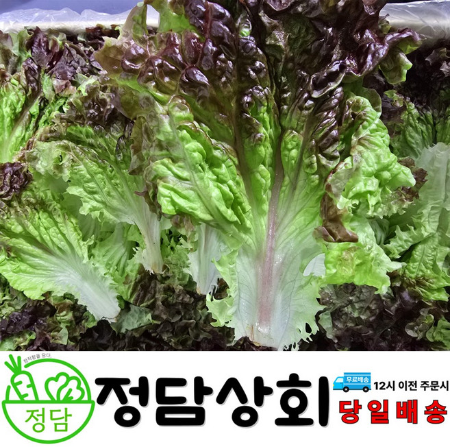 [ 정담상회 ] 꽃상추 국내산 꽃적상추 쌈채소 2kg 4kg 내외, 1박스