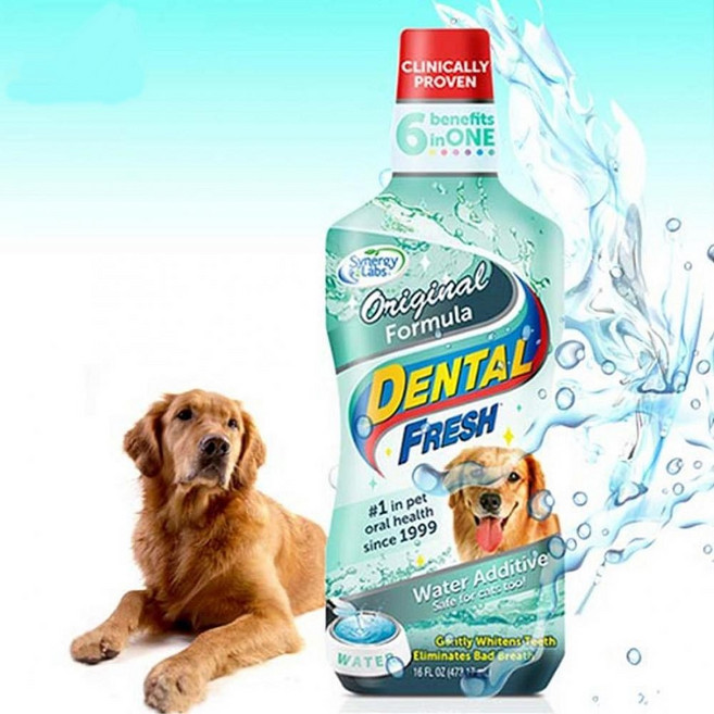 시너지랩 독 덴탈 후레쉬 503ml(물에 섞어주는 치약), 503ml, 5개, 오리지널