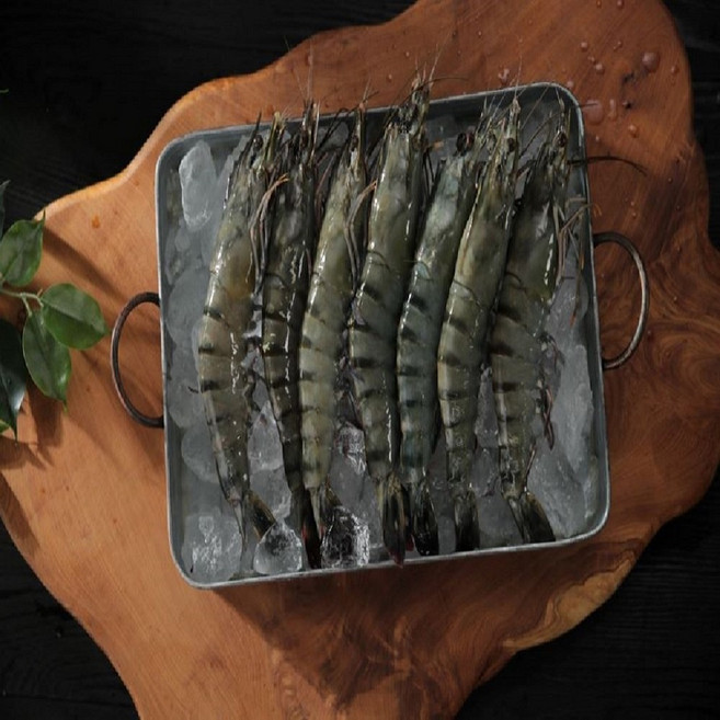 모조나인 킹 블랙타이거 새우, 1개, 500g(10미)