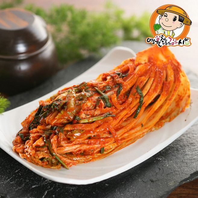 영월촌놈의김치 신안천일염 배추김치 10kg, 1개
