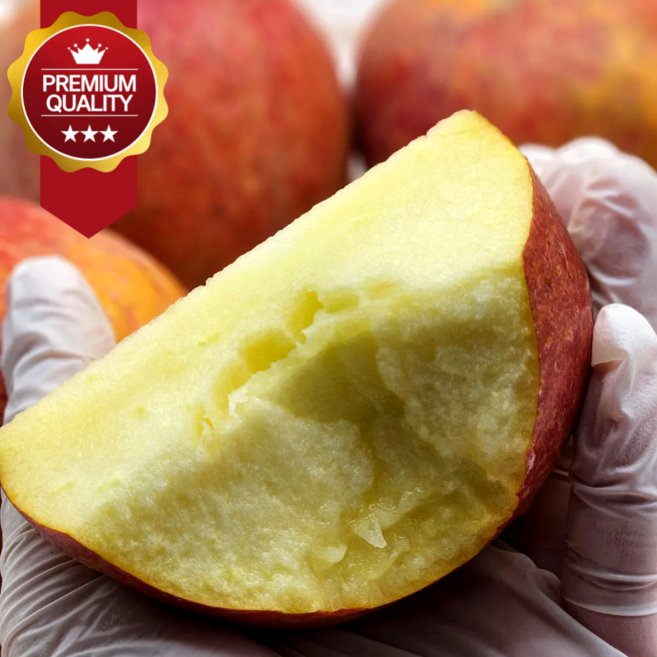 [2025년 햇사과] 감홍사과 가정용 못난이 파치 고당도 꿀사과, 1박스, 문경 5kg(가정용 중과 16~18과)