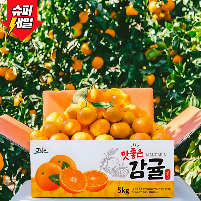 [무조건로얄과] 제주 감귤 로얄과 2S-M, 1박스, 5kg