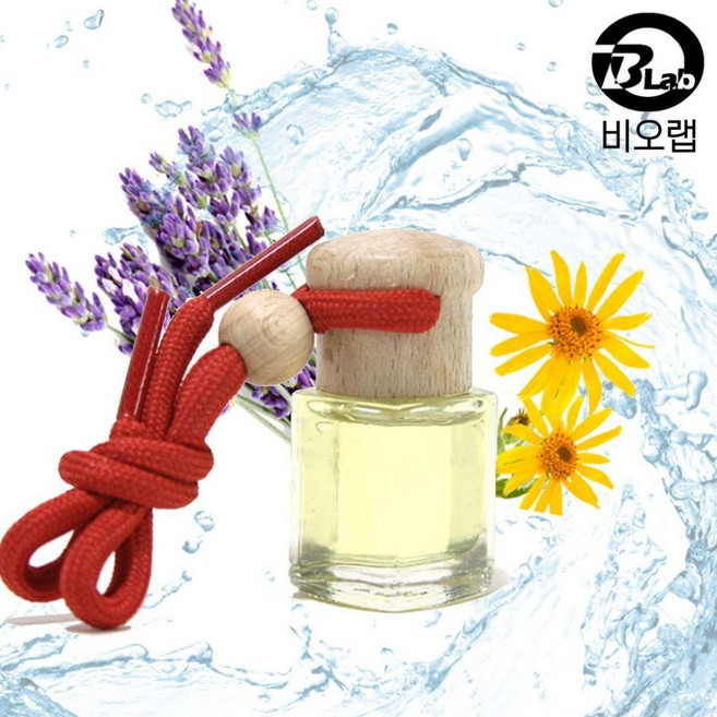 비오랩 우드캡 아로마 방향제 솔잎향 1EA, 복숭아/FREE, ONE COLOR/FREE