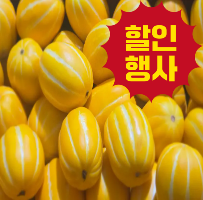 <가람> 초특가 당도 높은 성주 꿀 참외 아삭한 햇 참외, 1박스, 5kg 꼬마참외(가정용)