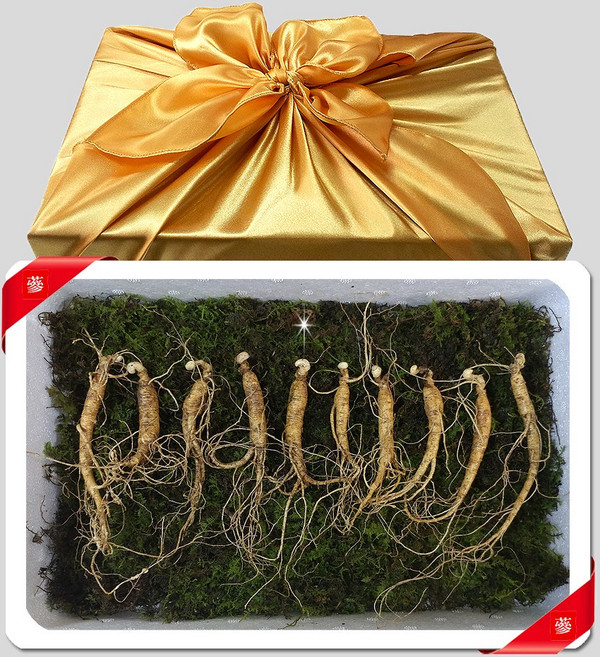 삼바이 산양산삼 5-6년근 선물세트 산삼 산양삼 장뇌삼 인삼 면역력 기력보강 설날 추석 설선물 설명절 추석선물 추석명절 명절선물, 1개