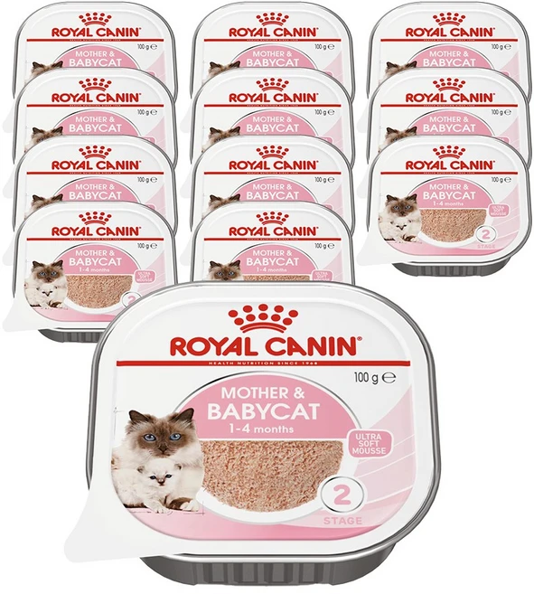 생후 1개월 2개월 이상 아기고양이 새끼고양이 이유식 습식 사료, 닭+오리, 100g, 12개 - 쿠팡